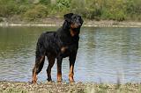 BEAUCERON 643